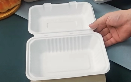 堆肥化可能な食器防水テスト