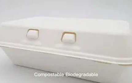 Bagasse使い捨て生分解性900ml ClamshellボックスLZ-0188