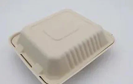 クラムシェルボックス8インチ3コンプ使い捨て植物ベース持続可能な生分解性