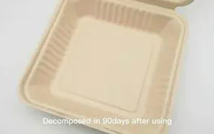 持続可能な生分解性サトウキビバガス植物ベース9インチクラムシェルボックス