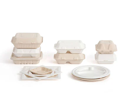 使い捨てプラスチック食器の環境への影響 使い捨てプラスチック食器の環境への影響