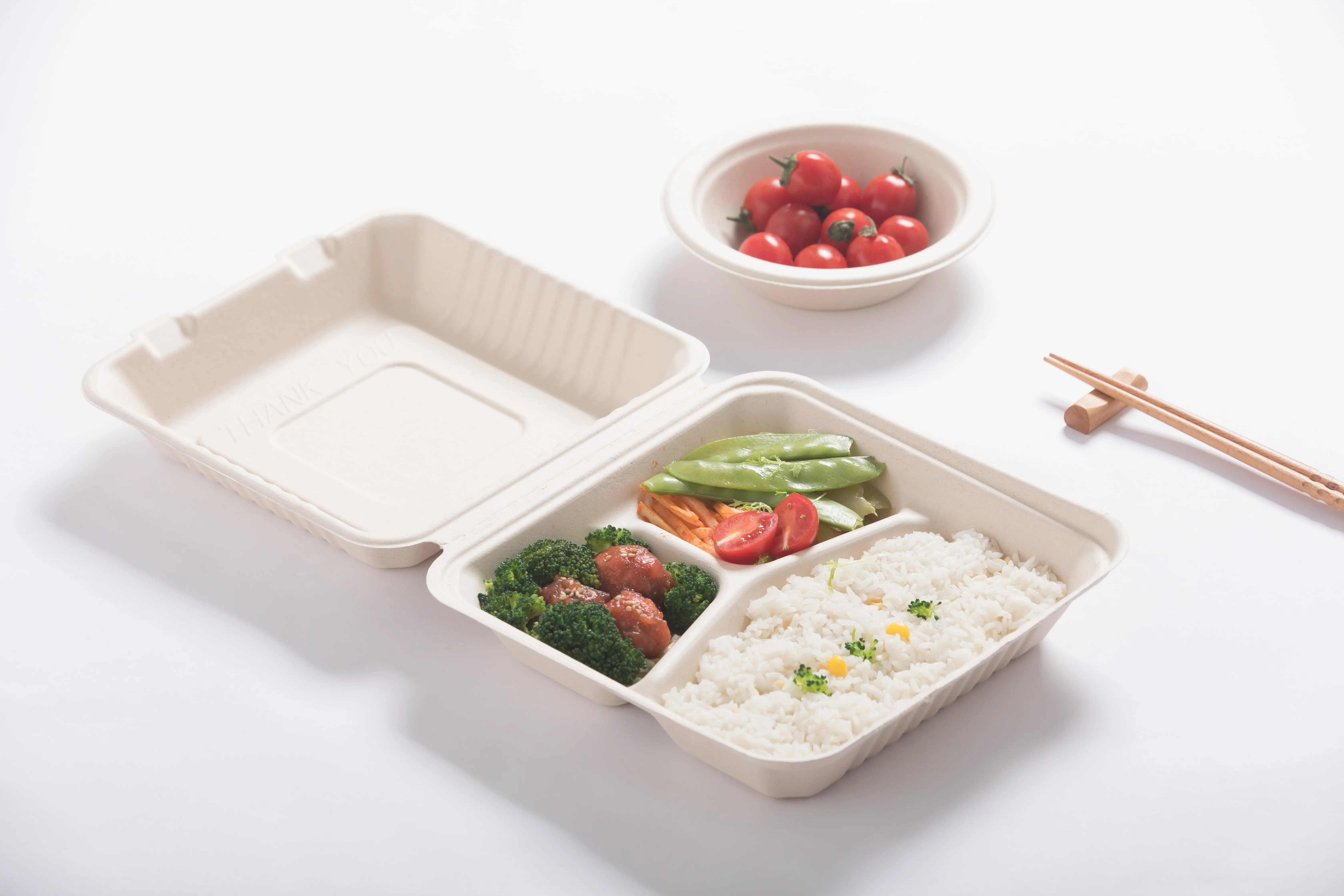 持続可能な食器の未来をナビゲートする: バガス食器市場のトレンド 持続可能な食器の未来をナビゲートする: バガス食器市場のトレンド