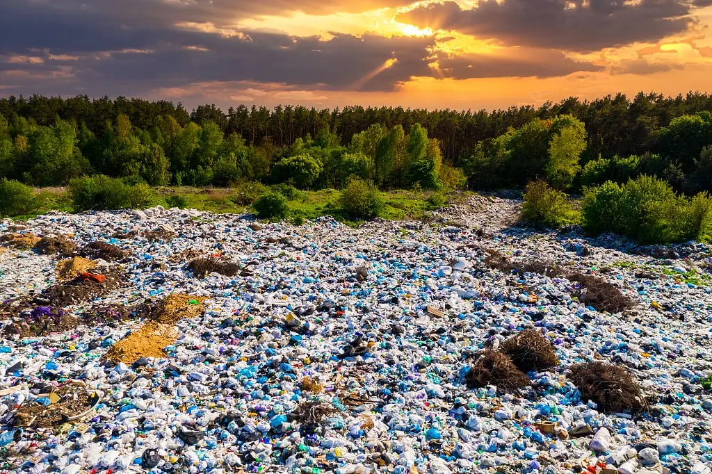 環境に立ち向かう: プラスチックにノーと言って持続可能性を受け入れる 環境に立ち向かう: プラスチックにノーと言って持続可能性を受け入れる