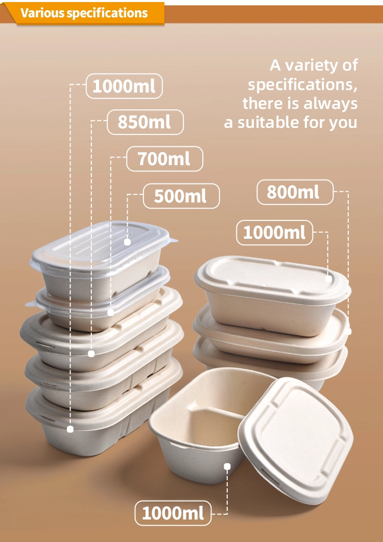 生態学的に啓発された: 生分解性食品容器の卸売世界を発表 生態学的に啓発された: 生分解性食品容器の卸売世界を発表